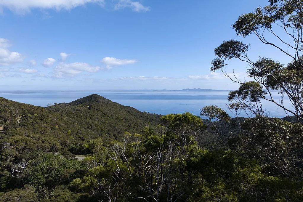 Mangonui Surrounds Spectacular Sea Views, Bush Clad, Priced Reduced!