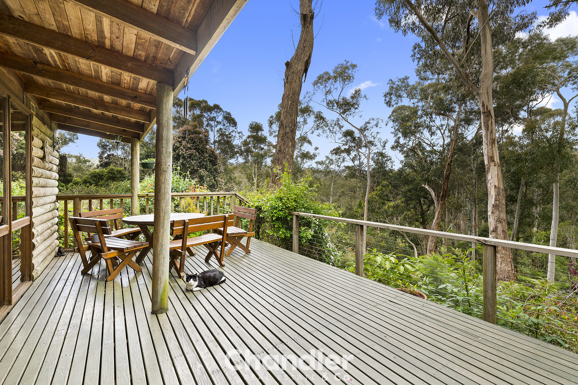 56 HAZELVALE RD, TECOMA VIC 3160, 0 ਕਮਰੇ, 0 ਬਾਥਰੂਮ, House