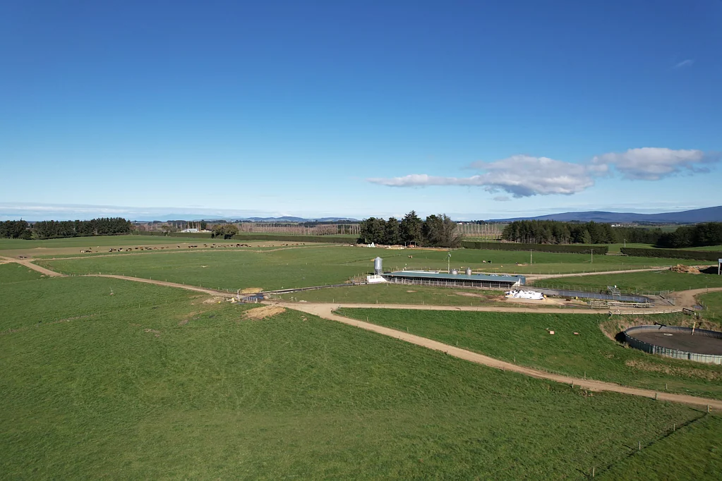 Otautau Dairy farm in the heart of Southland