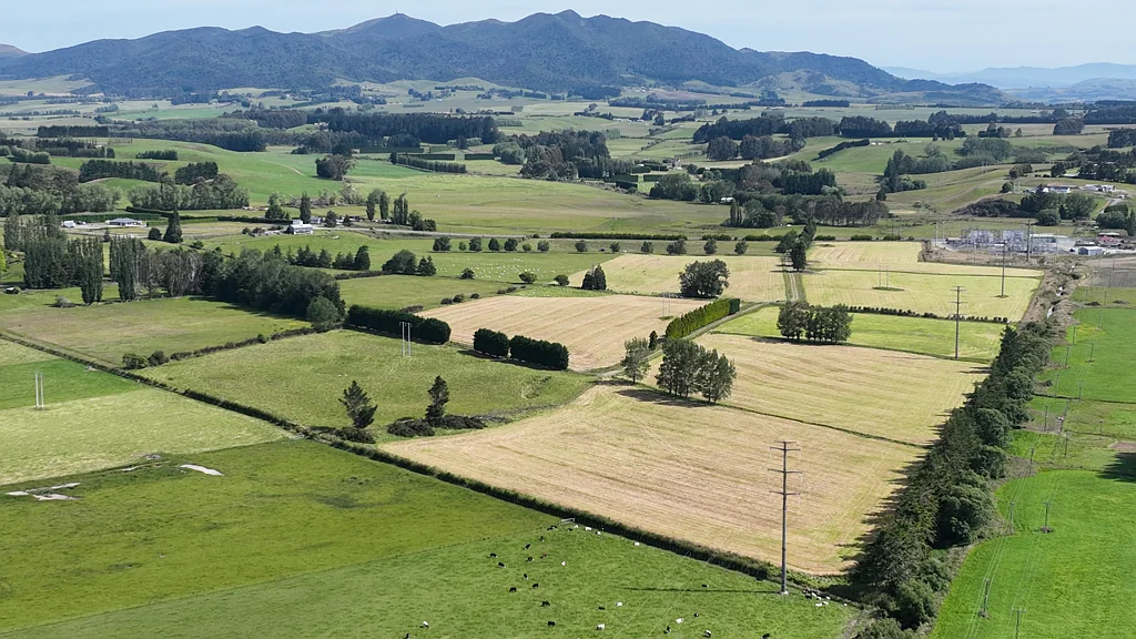 Gore Surrounds Exceptional support block