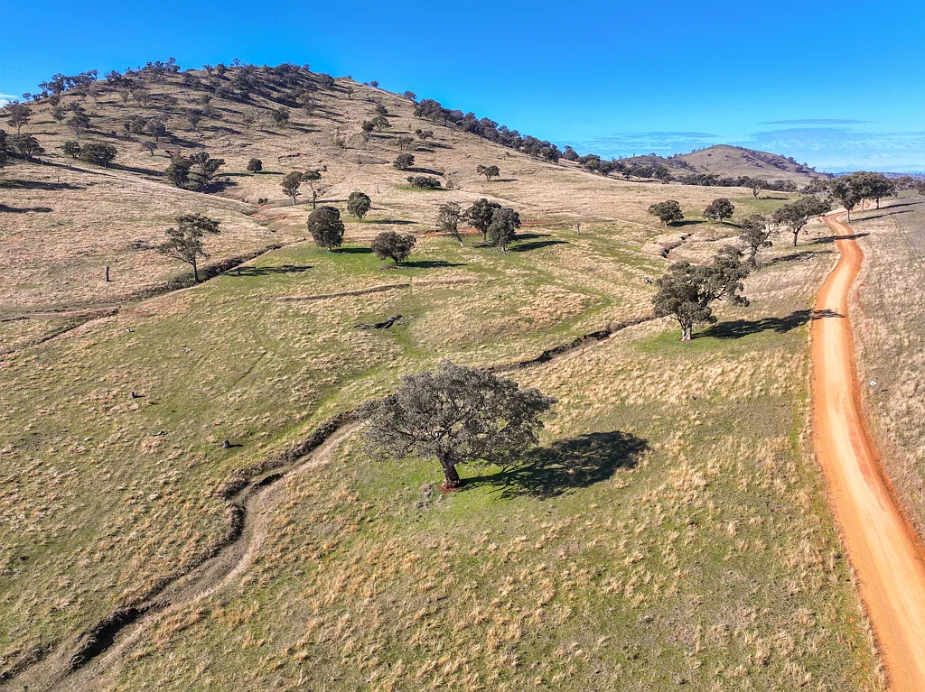 Muttama Excellent Grazing and Rural Lifestyle Opportunity