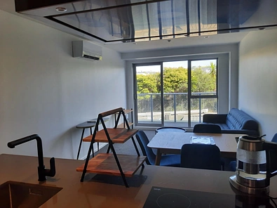 Grey Lynn-房-整租