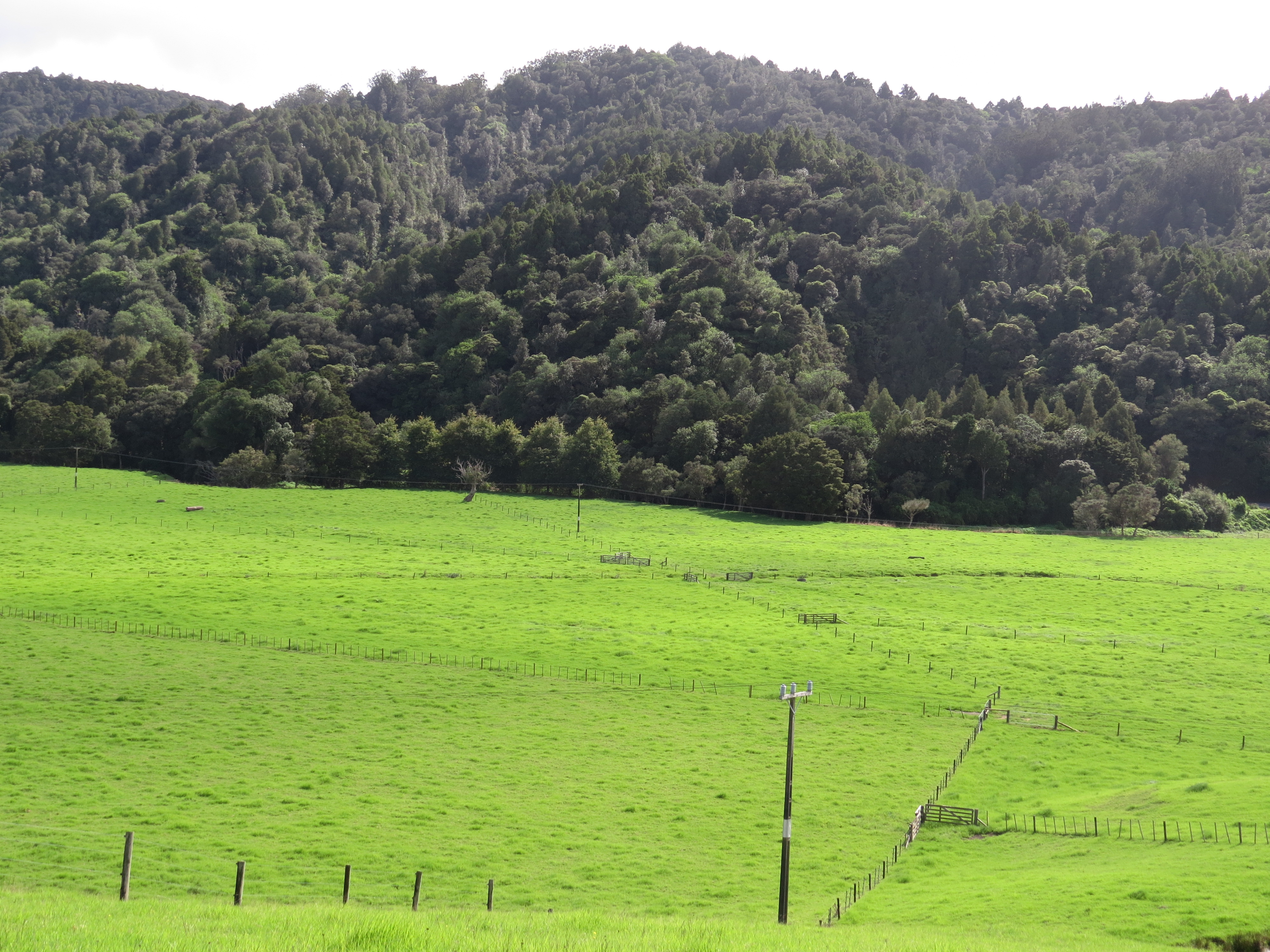 10 Waka Way, Bellevue, Tauranga, 3房, 2浴