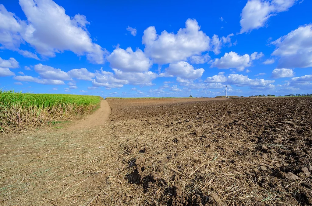 Avoca 54.27ha FARM IN CENTRE OF TOWN | CROPPING & GRAZING