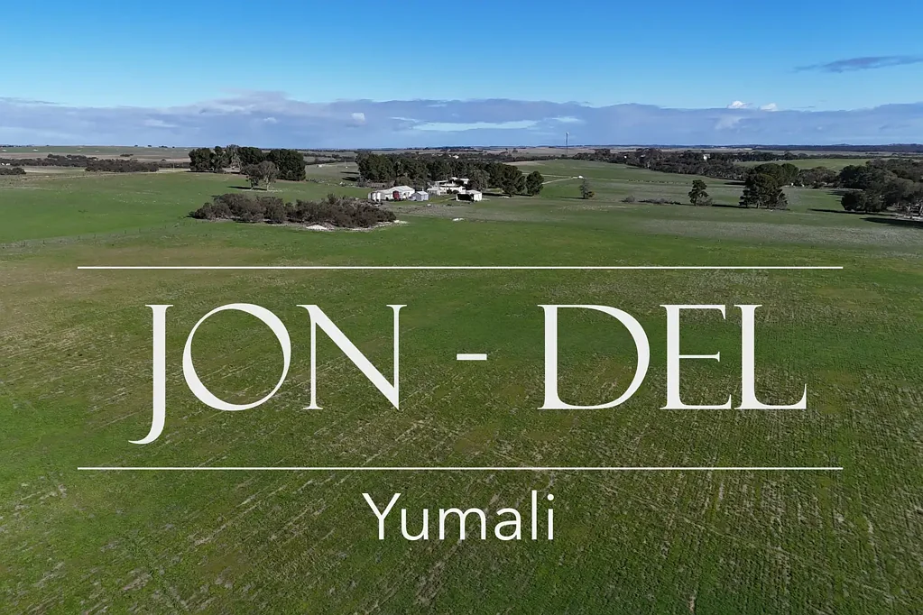 Yumali Jon-Del - Yumali