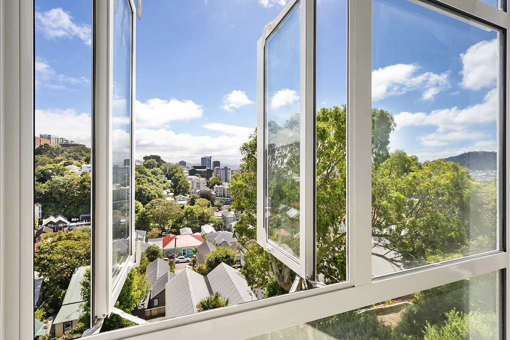 Aro Valley 1房  Sunny Corner Studio - Blank Canvas with Views