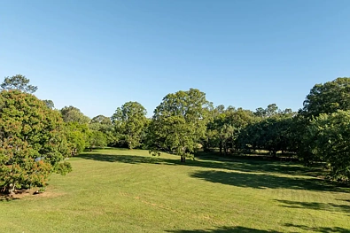30 Boyle Road, Pullenvale, QLD 4069, 4 Kuwarto, 2 Banyo, Lifestyle Section