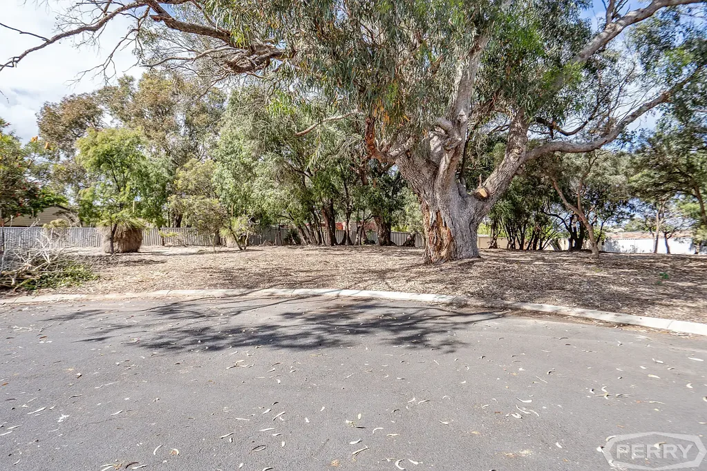 8 Exford Road, Dawesville, WA 6211