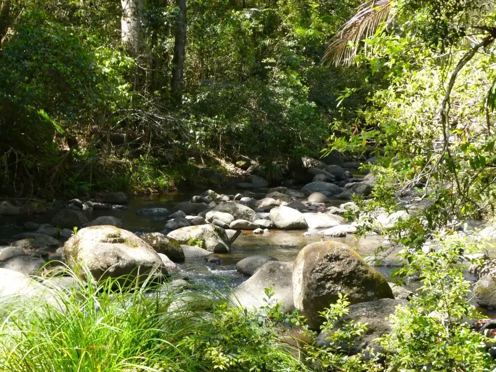 Kyogle  PRISTINE CREEK & NATIONAL PARKS FRONTAGE