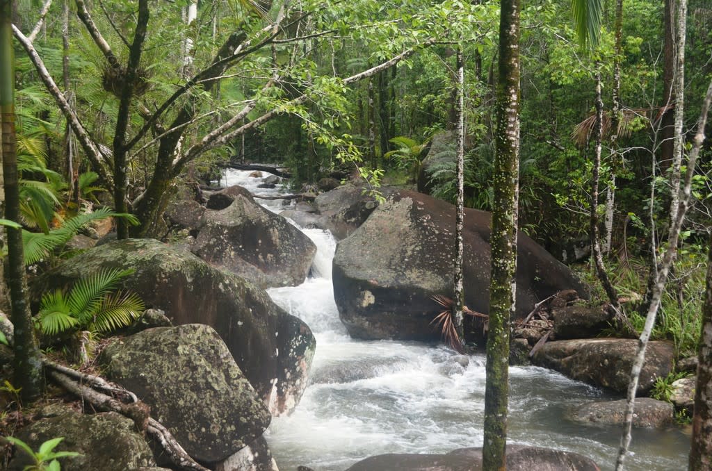 59 VAN HOUWENINGES RD, FINCH HATTON QLD 4756, 0 રૂમ, 0 બાથરૂમ, House