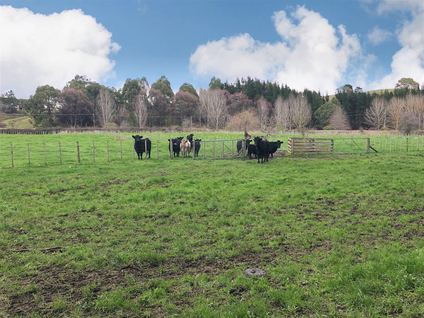 Tapairu Road, Waipawa, Hawkes Bay, 0房, 0浴