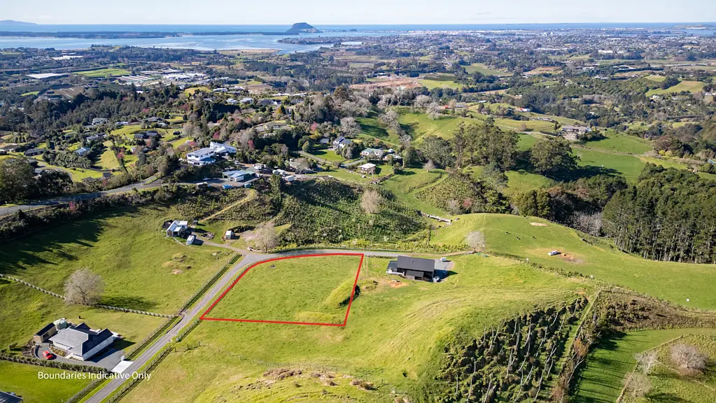 Te Puna Big dreams start here