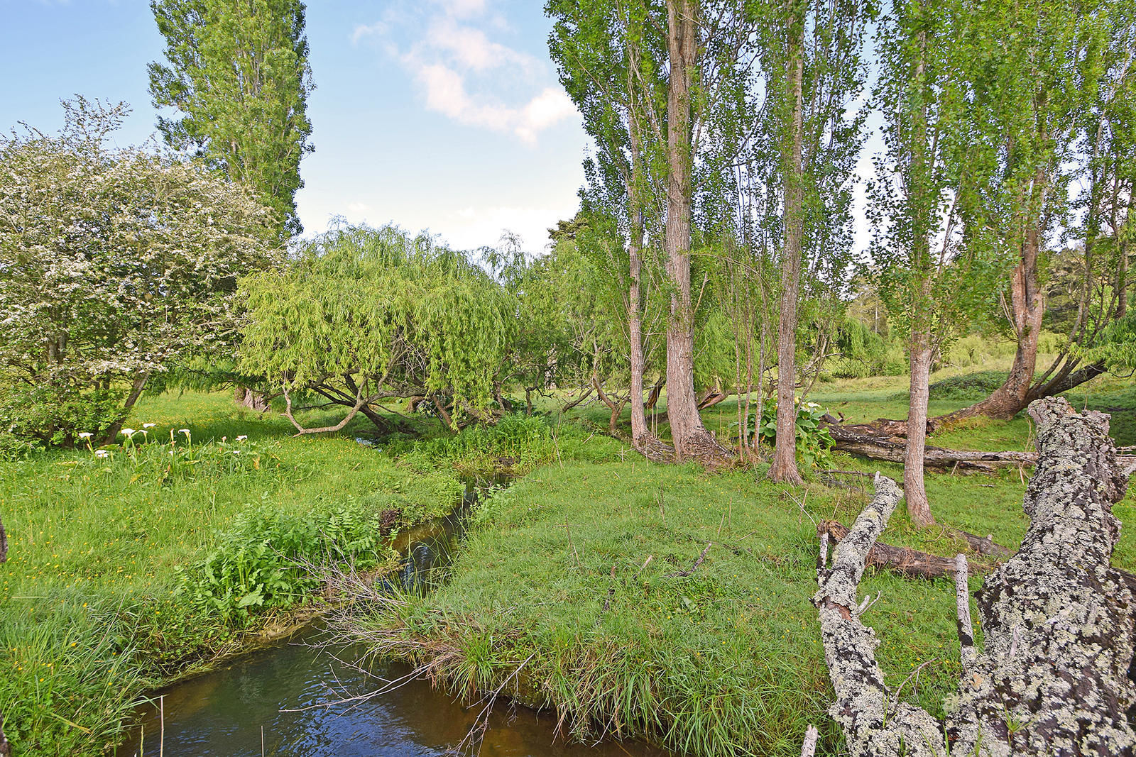 27 Mcgillivray Road, Wellsford, Auckland - Rodney, 0房, 0浴