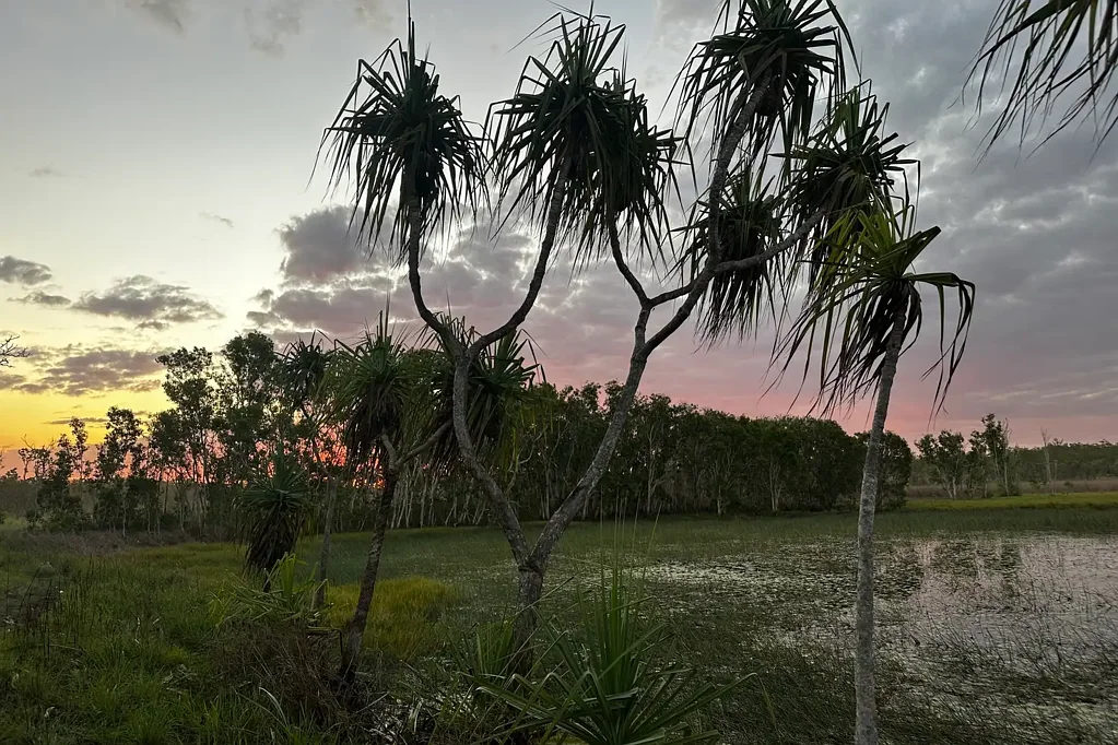 Darwin River  320 Acres awaiting a new owner!