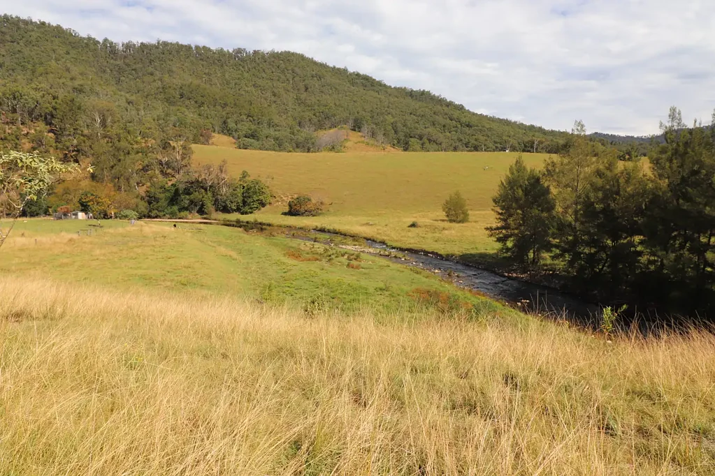 Lower Creek Upper Macleay Grazing