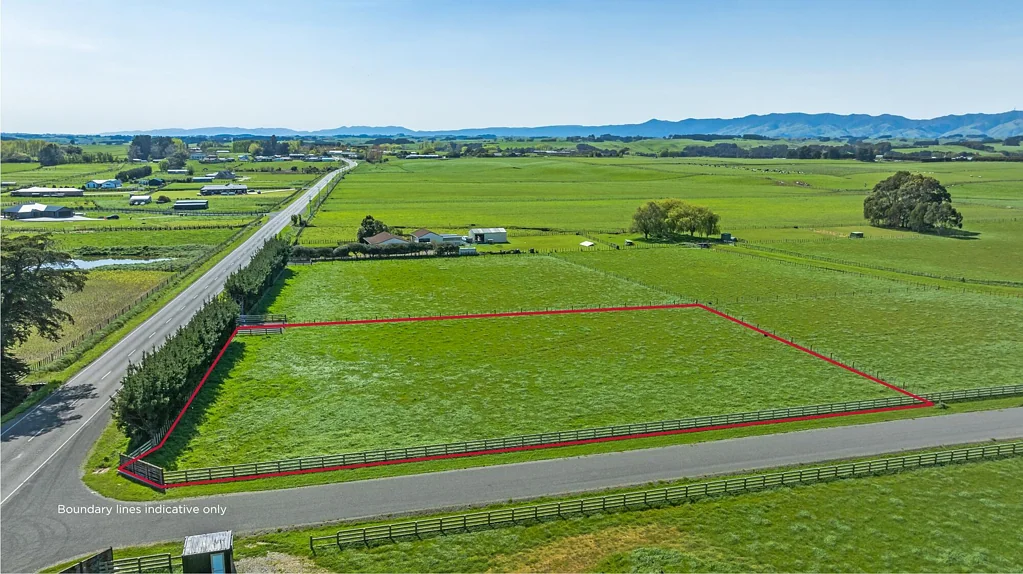 Feilding Developer wants action!