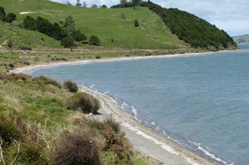 125 Massey Road, Maungaturoto, Kaipara, 4 Bedrooms, 1 Bathrooms