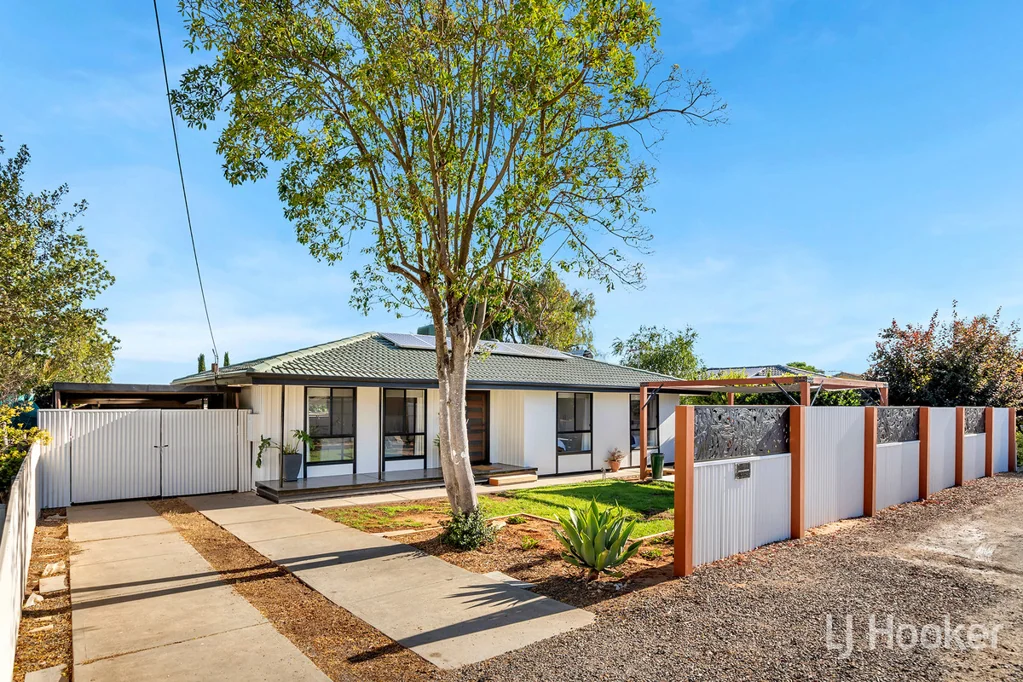 38 Borrow Street, Freeling, SA 5372