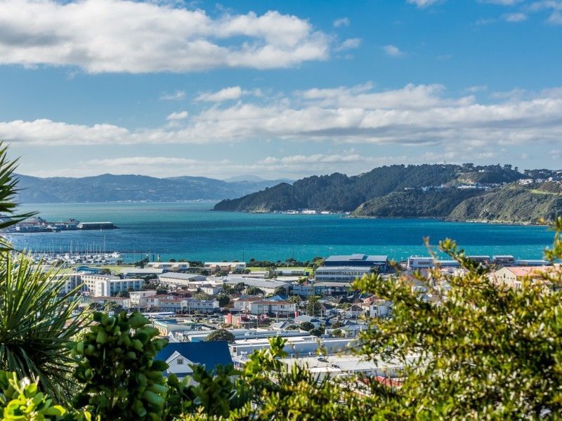 22 Imperial Terrace, Melrose, Wellington, 3 phòng ngủ, 0 phòng tắm