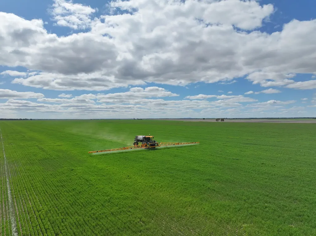 Quandialla  Highly Efficient, Highly Productive