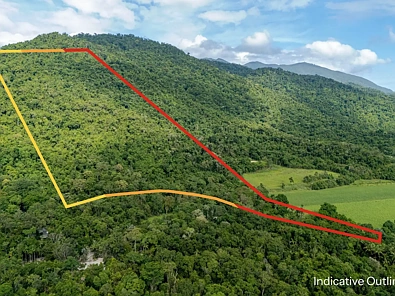 388 Finlayvale Road, Finlayvale, QLD 4873, 0房, 0浴, Section