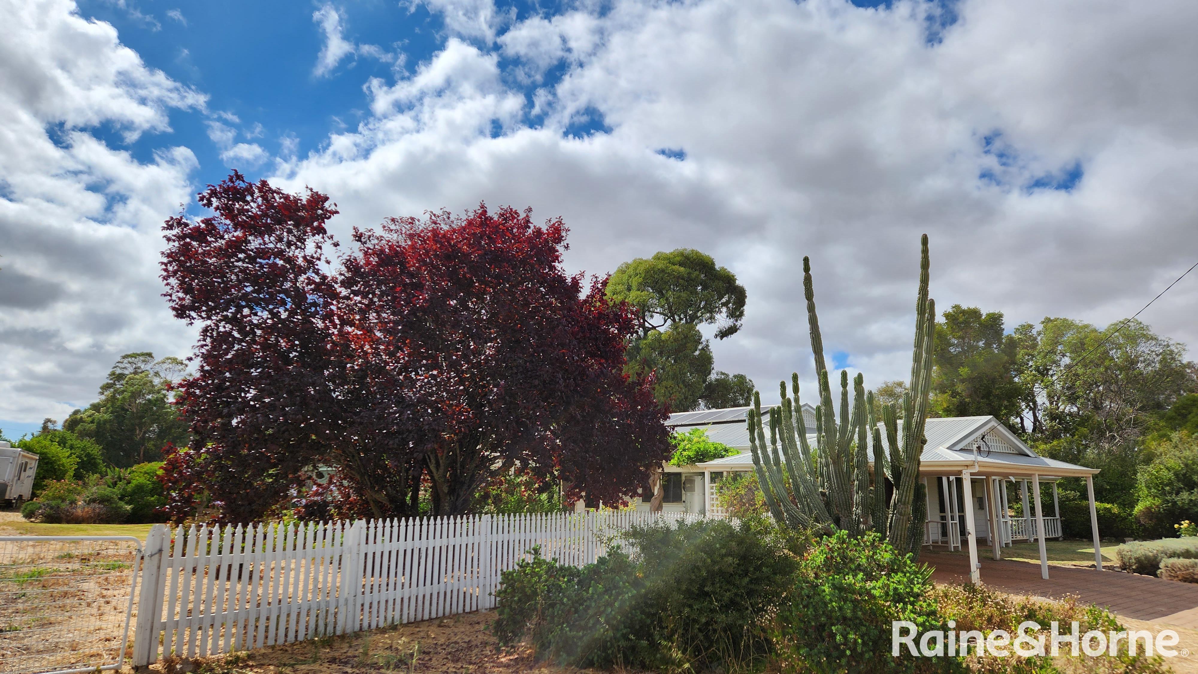 41 HONNER ST, KOJONUP WA 6395, 0 Bedrooms, 0 Bathrooms, House