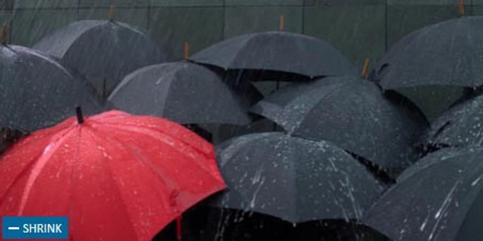 新西兰北岛的狂风暴雨导致数百家庭断电