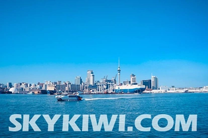 盘点：新西兰卖房者最容易犯的致命错误有哪些？