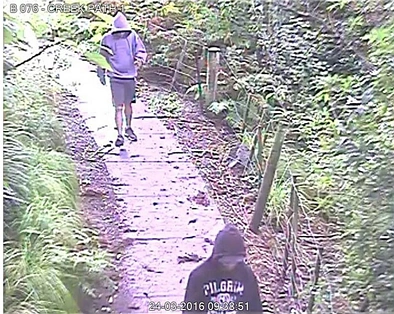 【留学生被打案追踪】警方：4起案件8名嫌犯被捕