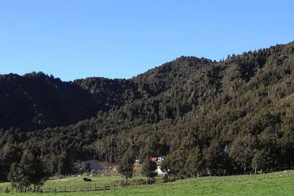 新西兰政府为南岛铂金勘探招标