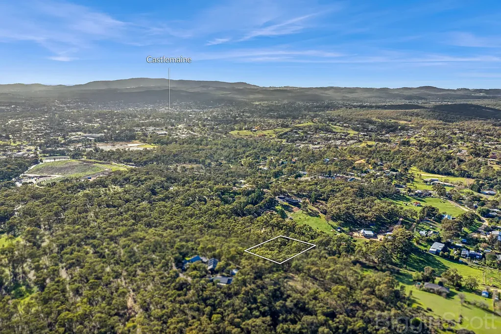 Campbells Creek  Bushland Blank Canvas in Township Zone