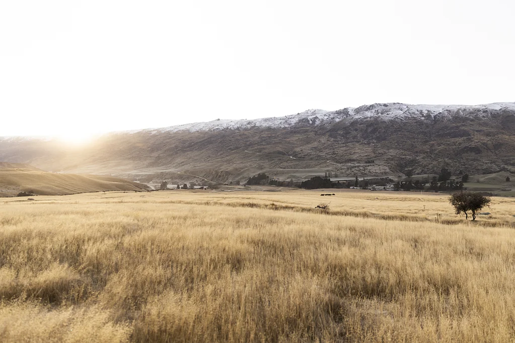 Cardrona Mt Cardrona Station