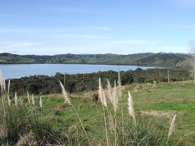 Beach Road, Kohukohu, Far North, 0部屋, 1バスルーム