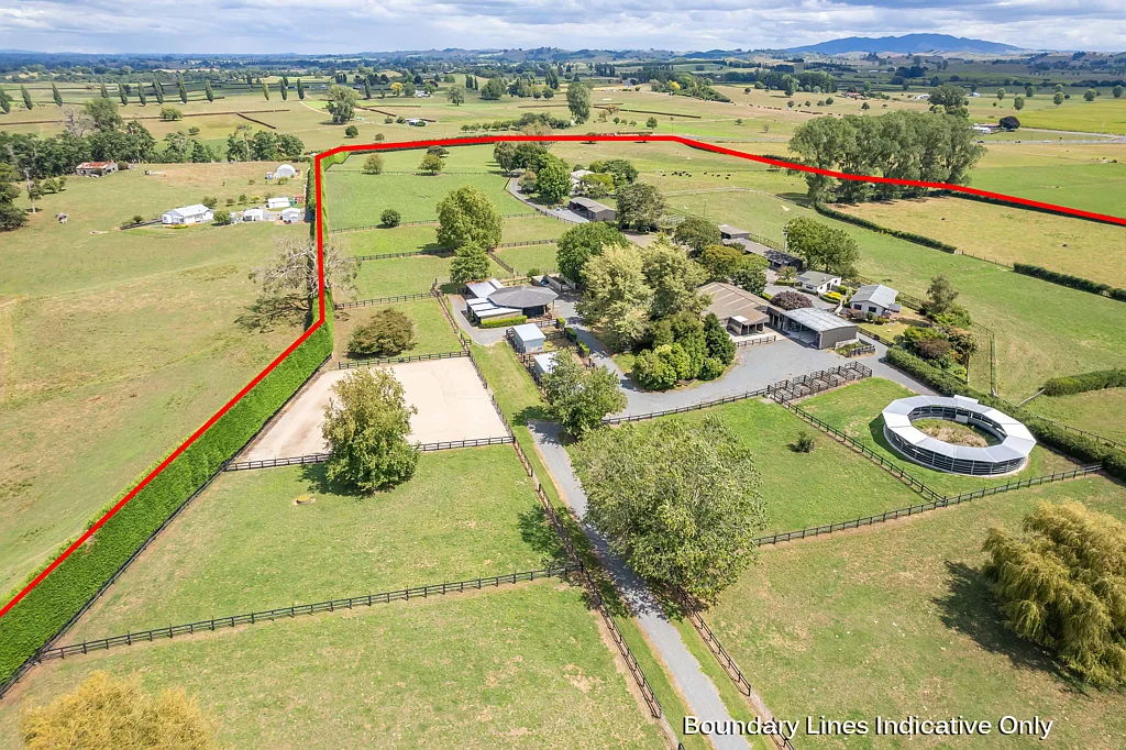 Matamata HORSES, INVESTMENT, FUTURE SUBDIVISION