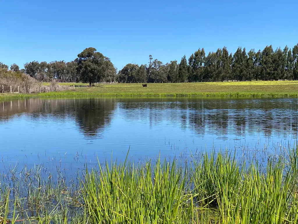 526 Ralston Road (Dixvale), Manjimup, WA 6258