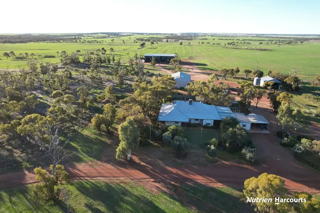 Coorow Awesome 1st Opportunity 100 yrs