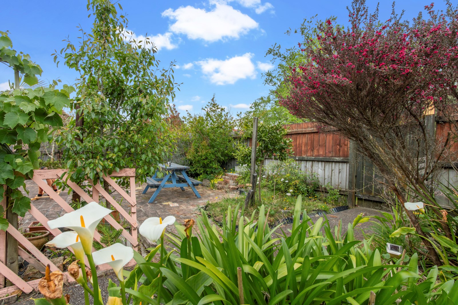 1/8 Putney Place, Ranui, Auckland - Waitakere, 2房, 1浴