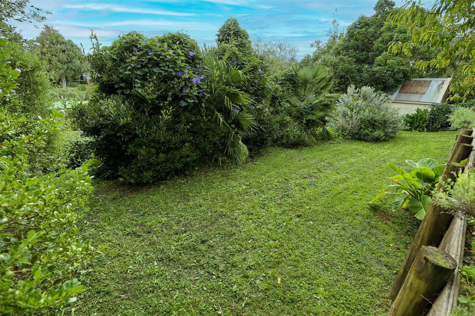 3a Terrace Lane, Hospital Hill, Napier, 0 Kuwarto, 0 Banyo