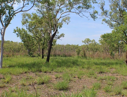 地址保密, Batchelor, Daly - Tiwi - West Arnhem, 0 Bedrooms, 0 Bathrooms, Section