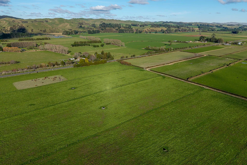 Pahiatua  A slice of rural paradise