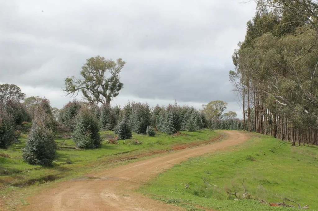Nareen Reversion Opportunity - Western Victoria