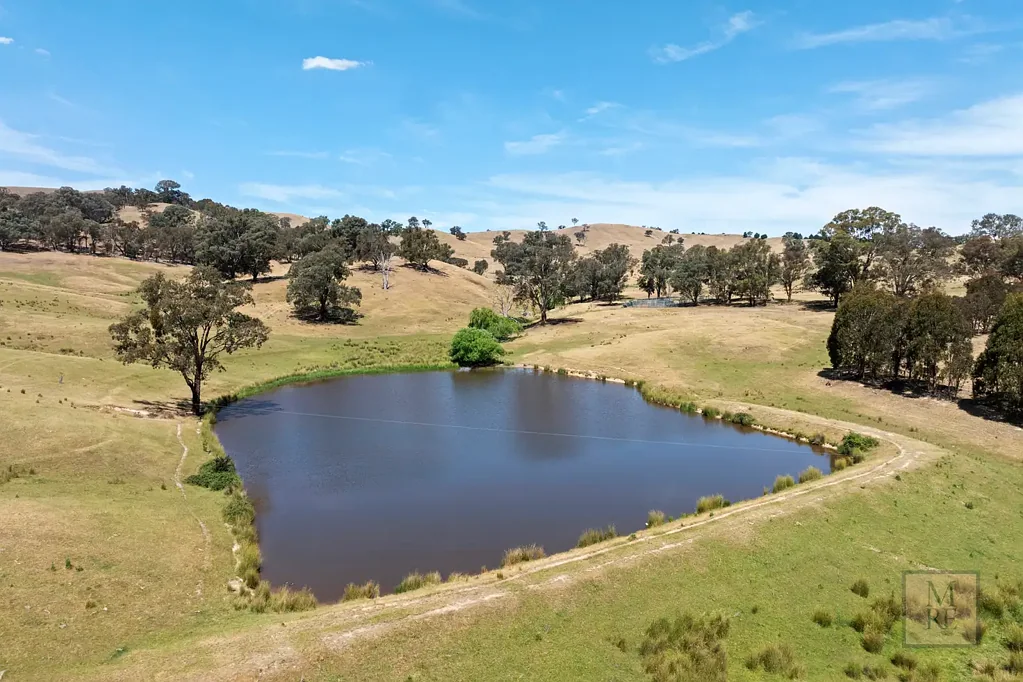 Bonnie Doon 'Dalhaven' - 688 Acres in Bonnie Doon