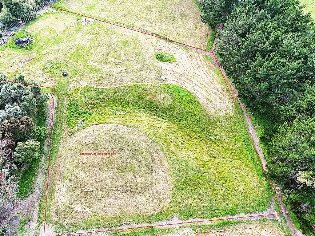 Dargaville Elevated Section