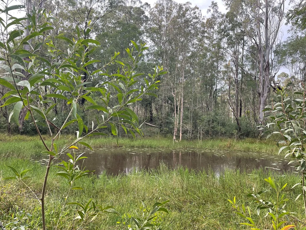 Lot 123 Tedesco Road, New Italy, NSW 2472