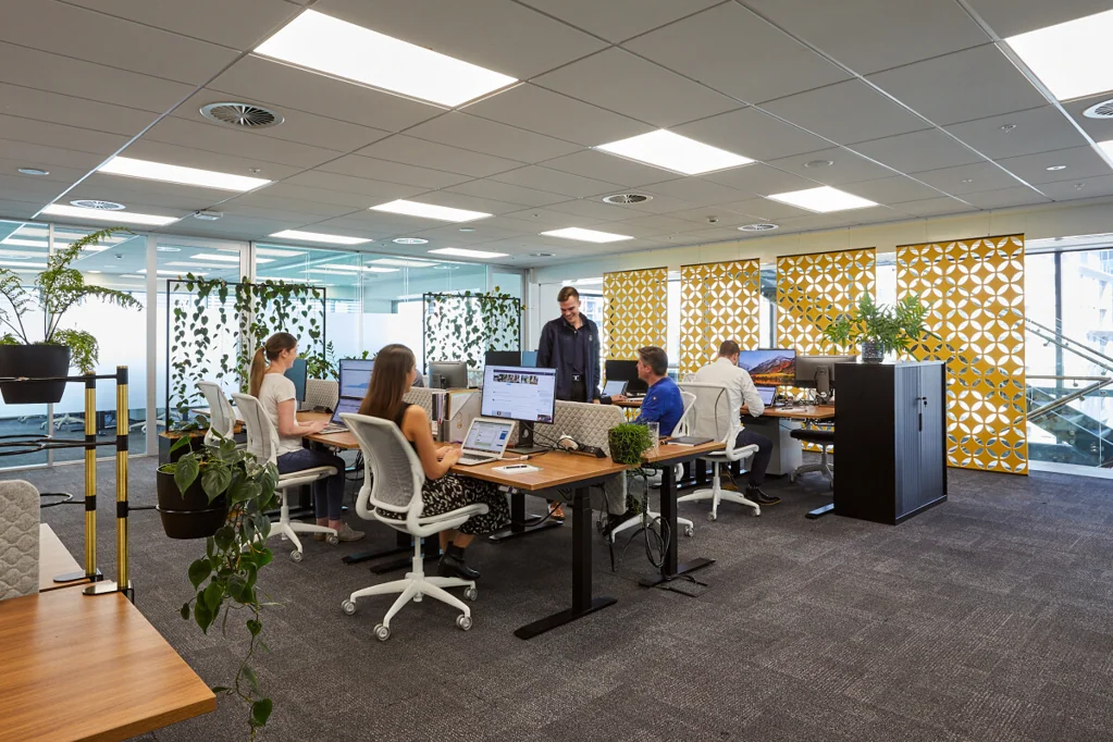 Auckland Central Co-working office with harbour views