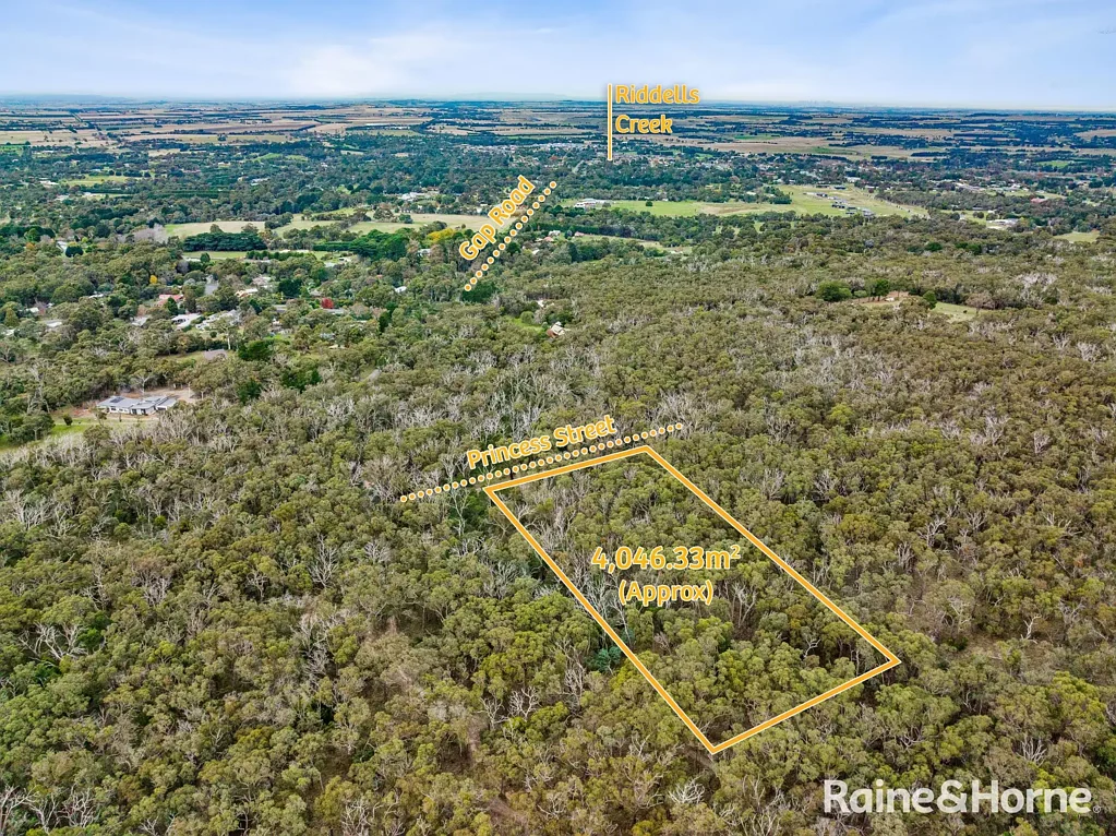 Riddells Creek Escape to Nature - Over 1 Acre of Untouched Bushland in Riddells Creek