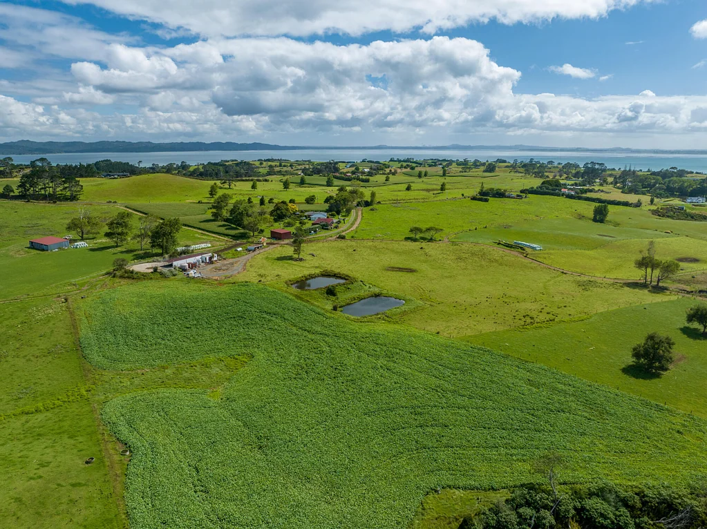 Manukau Heads 106.47 Ha Dairy Farm with Unbeatable Lifestyle