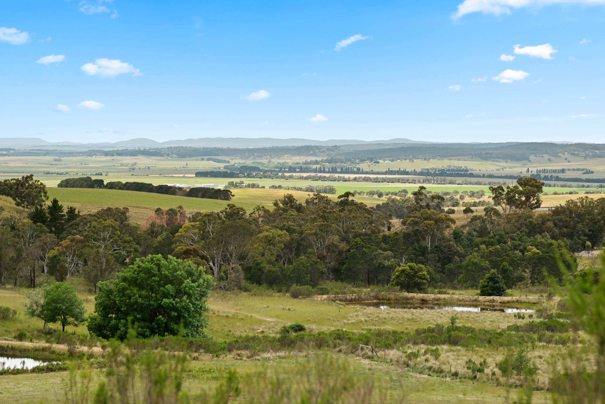 259 COVAN CREEK RD, LAKE BATHURST NSW 2580, 0房, 0浴, Lifestyle Property