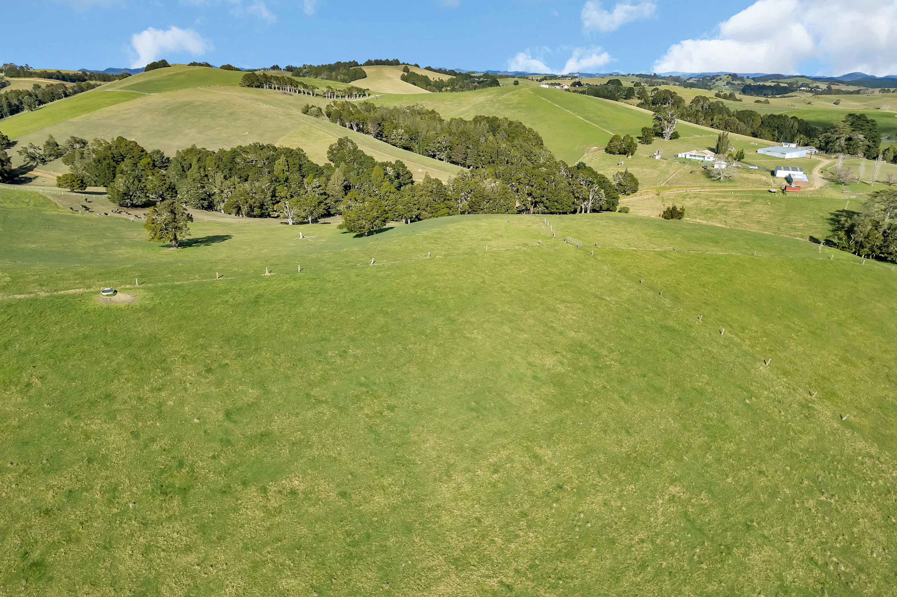 580 Kaiatea Road, Ngunguru, Whangarei, 0 રૂમ, 0 બાથરૂમ, Dairy