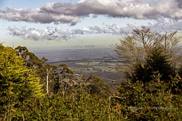 10 Bald Spur Road, Kinglake Central